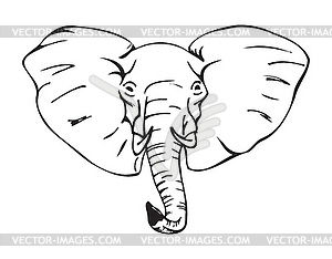 African elephant - vector clipart