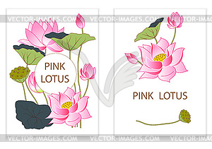 Blooming lotus - vector image