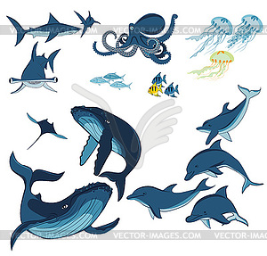 Marine animals and fish - vector image