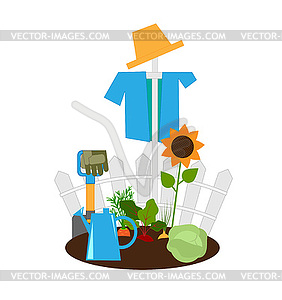 Vegetable garden - vector clipart