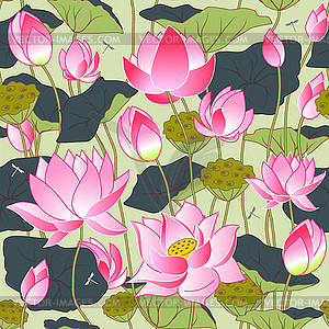 Blooming pink lotus flowers - vector clipart