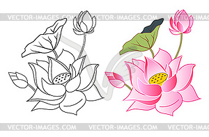 Pink lotus flowers - vector clipart