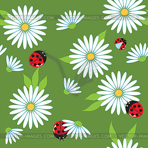 Chamomile and ladybugs - vector clip art