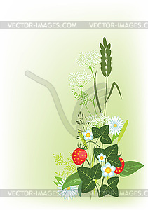 Луговые цветы и травы - векторный клипарт EPS