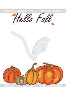 Autumn pumpkin harvest - vector image