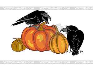 Crows and pumpkins - royalty-free vector image