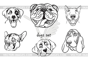 Muzzle dogs of different breeds - vector clip art