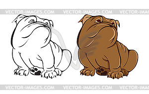 English bulldog, coloring - vector clip art