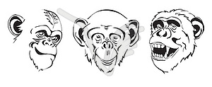 Black and white chimpanzee head set - vector clipart