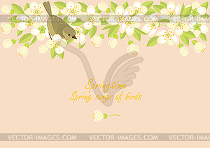 Small birds and spring blossoming branches - royalty-free vector clipart