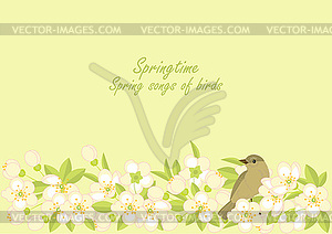 Small birds and spring blossoming branches - vector image