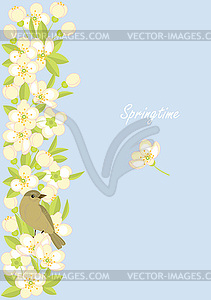 Small birds and spring blossoming branches - vector image