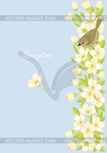Small birds and spring blossoming branches - vector clipart