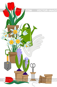Spring bulbous flowers in pots and garden tools - vector clipart