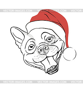 Dog in Santa hat - vector image