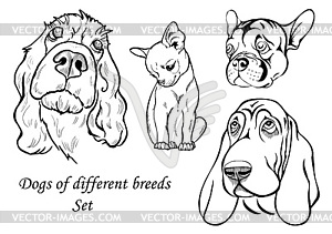 Portraits of dogs of different breeds - vector EPS clipart