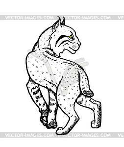 Эскиз лесной рыси - изображение в векторе