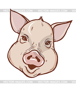 Эскиз головы свиньи - векторный клипарт / векторное изображение