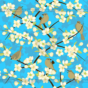 Birds and blooming branches - vector image