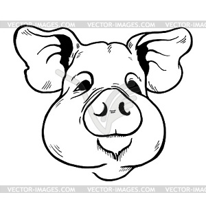 Pig head sketch - vector clipart