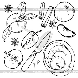 Apples whole and cut into slices, berries and spices - stock vector clipart