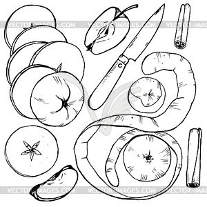 Яблоки целые и разрезанные на ломтики, ягоды и специи - рисунок в векторном формате