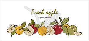 Красочные свежие яблоки, целые, разрезанные пополам и в - векторный клипарт / векторное изображение