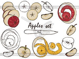 Apples, spices and berries set - vector image