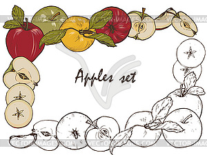 Apples, spices and berries set - vector clipart