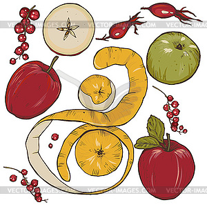 Apples, spices and berries set - vector image