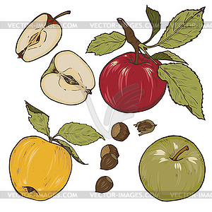 Apples, spices and berries set - vector clipart