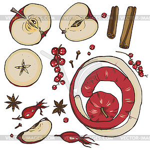 Apples, spices and berries set - vector clip art