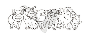 Friendly company of cute pigs - vector image
