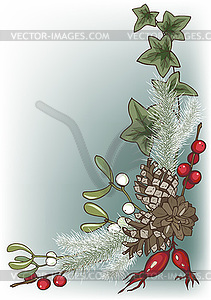 Composition of Christmas plants - vector clipart