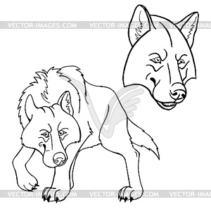 Wolf in full growth and muzzle separately - vector clip art