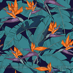 Цветы и листья Стрелиция бесшовные - векторное изображение клипарта