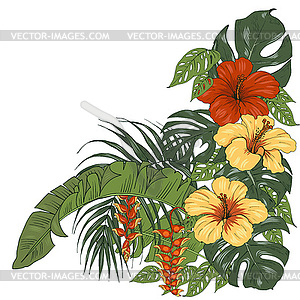 Composition of tropical plants, Heliconia and - vector EPS clipart