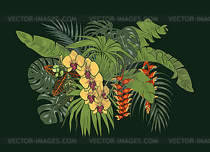 Composition of tropical plants and Orchid and - vector clipart