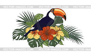 Toucan and tropical plants - vector clipart