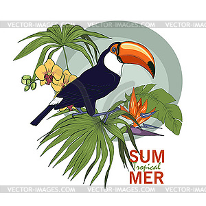 Toucan and tropical plants - vector clipart