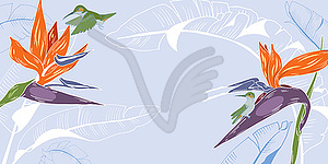 Hummingbirds and tropical plants - vector image