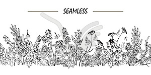 Wild flowers and leaves in Doodle style - royalty-free vector image