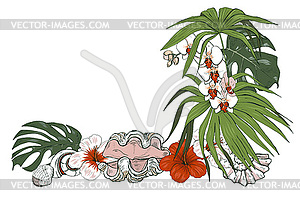 Composition of seashells and tropical plants - vector image