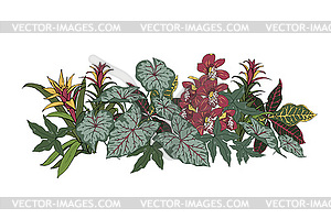 Composition of tropical plants and Orchid flowers - vector clip art