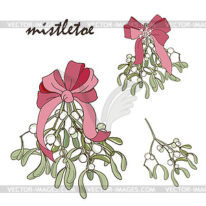 Mistletoe bouquet with pink bow - vector clipart