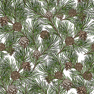 Pine branches with cones, seamless - vector clipart