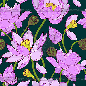 Pink Lotus flowers and buds on dark background, - vector clip art