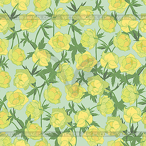 Yellow spring globeflower seamless - vector clip art