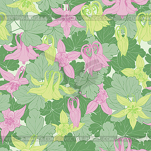 Flowers, buds and leaves of Aquilegia - vector clipart / vector image