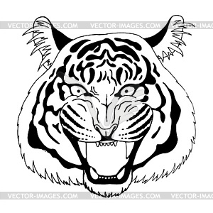 Snarling face of tiger - vector image